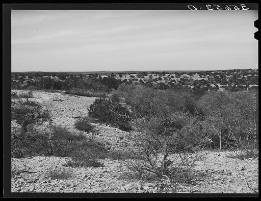 Rocky, hilly terrain spotted with scrub oak and cedar trees. Kimble County, Texas