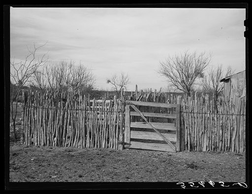 Untitled photo, possibly related to: Cedar post fence on ranch of rehabilitation borrower in Kimble County, Texas