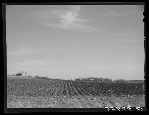 Plowed land on farm in Bexar County, Texas
