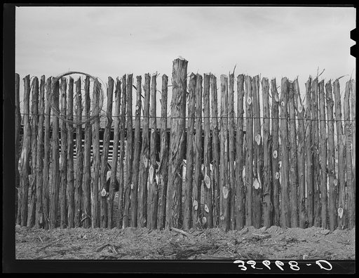 Cedar post fence on ranch of rehabilitation borrower in Kimble County, Texas