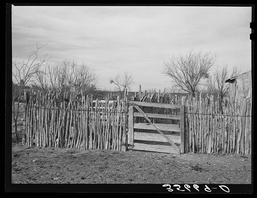 Cedar post fence on ranch of rehabilitation borrower in Kimble County, Texas
