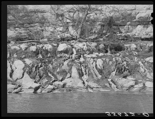 Seven hundred springs on the Llano River in Kimble County, Texas. There are numerous springs throughout this section but this is the largest number flowing at one spot