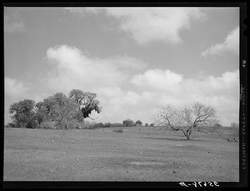 Landscape. Refugio County, Texas