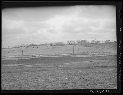 Spring plowing in Williamson County, Texas. This is the center of one of the rich cotton sections of Texas