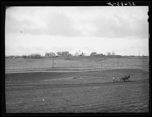 Spring plowing in Williamson County, Texas