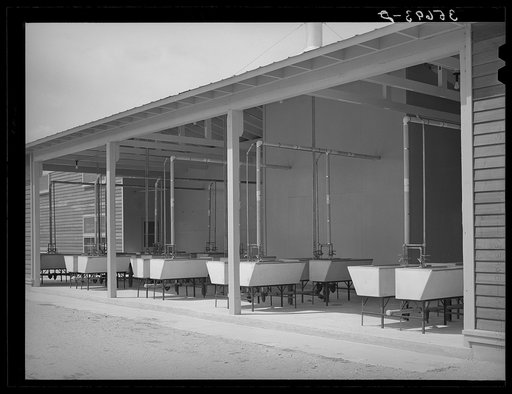 Rows of laundry tubs at the migratory labor camp at Sinton, Texas