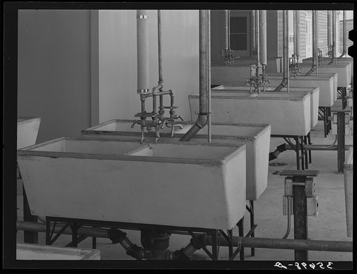 Laundry tubs at the migratory labor camp. Sinton, Texas