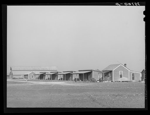 Houses for permanent and migratory workers on large cotton farm in Refugio County, Texas
