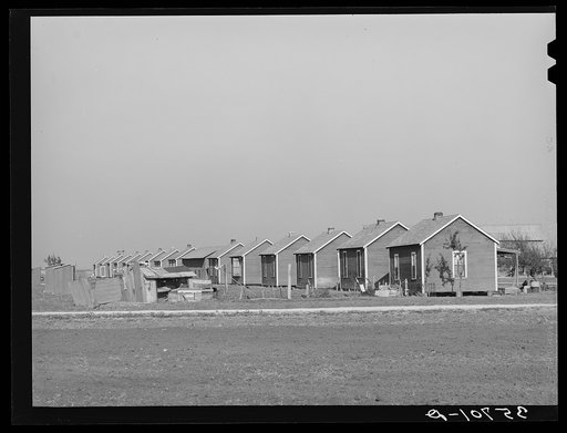 Houses for permanent and migratory workers on large cotton farm in Refugio County, Texas