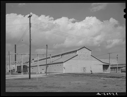 Cotton seed oil mill. Taft, Texas