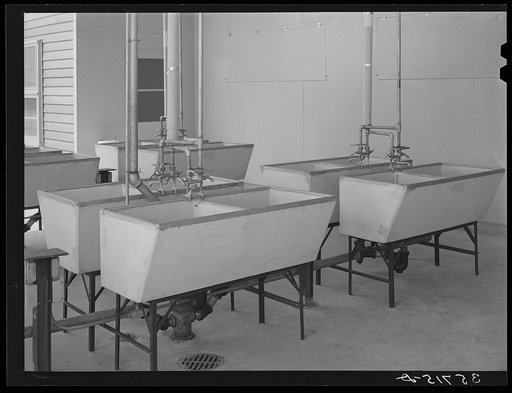 Laundry tubs at the migratory labor camp at Sinton, Texas