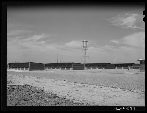 Group of row shelters for migratory workers at the migratory labor camp. Sinton, Texas