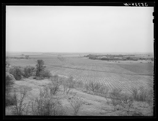 Character of farming land in Mills County, Texas
