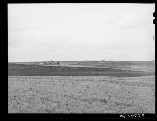Character of farm land in the black waxy prairie of Texas. Williamson County, Texas