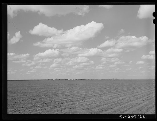 The land is flat, black, rich and intensively cultivated in the coastal plains of Texas. San Patricio County, Texas