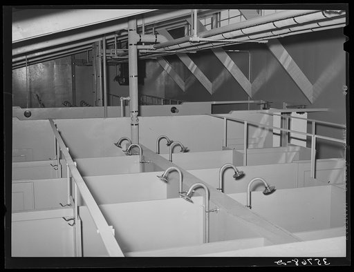 Showers in sanitary unit at the migratory labor camp. Sinton, Texas
