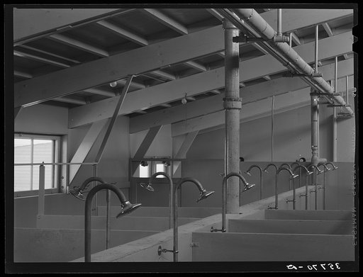 Showers in the sanitary unit at the migratory labor camp. Sinton, Texas