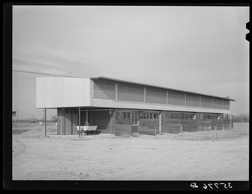 Back of multi-family unit. Migratory labor camp, Sinton, Texas