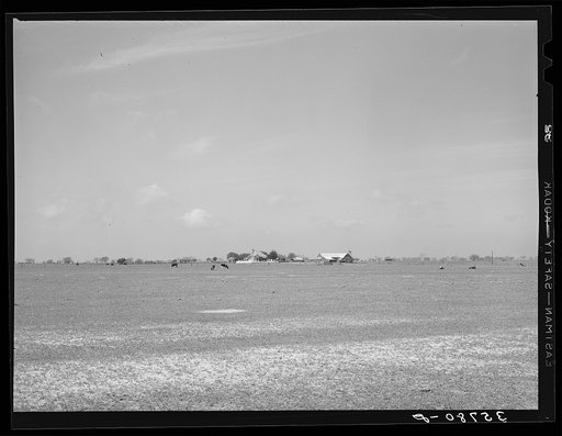 Untitled photo, possibly related to: Farmstead in Refugio County, Texas