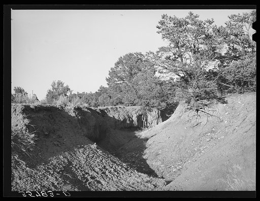 Gully in overgrazed mountain land in Bernalillo County, New Mexico