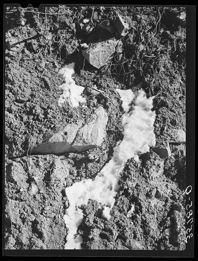 Melting snow in the mountains in Bernalillo County, New Mexico. This melting snow in spring feeds the mountain streams that furnish the valley farmers with water