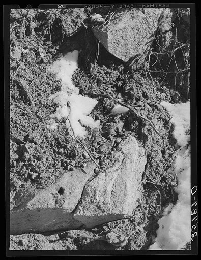 Melting snow in the mountains of Bernalillo County, New Mexico. This melting snow which feeds the rivers and streams in this section is an important source of water for the valley farmers and stockmen