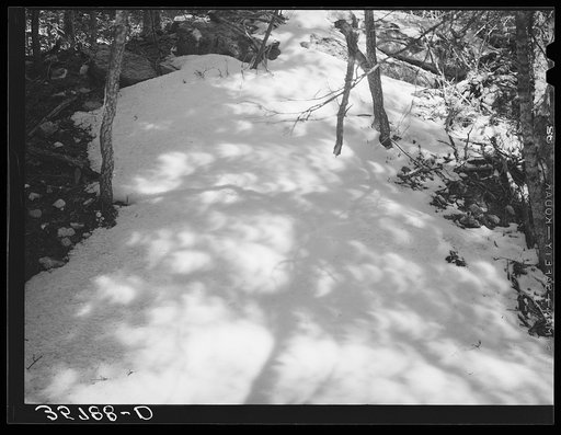 Shadows on the snow in the mountains in Bernalillo County, New Mexico. The unusual crescent shaped light in patches in the shadows were caused by the eclipse of the sun