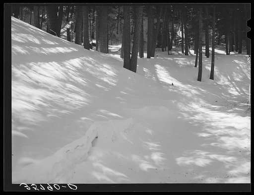 Snow in the mountains of Bernalillo County, New Mexico. The unusual crescent shape patches of light in the shadows were caused by the partial eclipse of the sun
