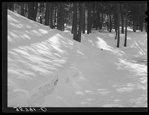 Untitled photo, possibly related to: Snow in the mountains of Bernalillo County, New Mexico. The unusual crescent shape patches of light in the shadows were caused by the partial eclipse of the sun