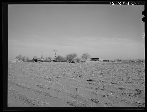 Farmstead in the high plains. Dawson County, Texas. Windblown field in the foreground