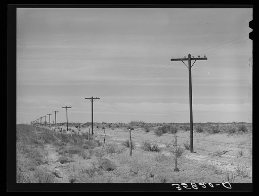 Telephone poles along the highway. Gaines County, Texas