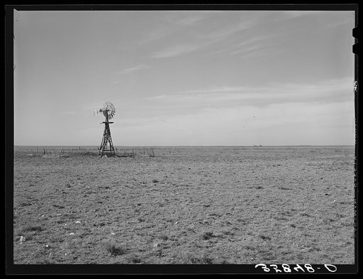 Windmill on farmstead on the high plains. Gaines County, Texas