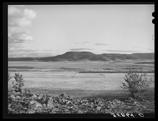 Valley of the Little Colorado River, a section which produces fine range through flood irrigation. Apache County near Springerville, Arizona