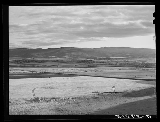 Valley of the Little Colorado River, a section which produces fine range through flood irrigation. Apache County near Springerville, Arizona