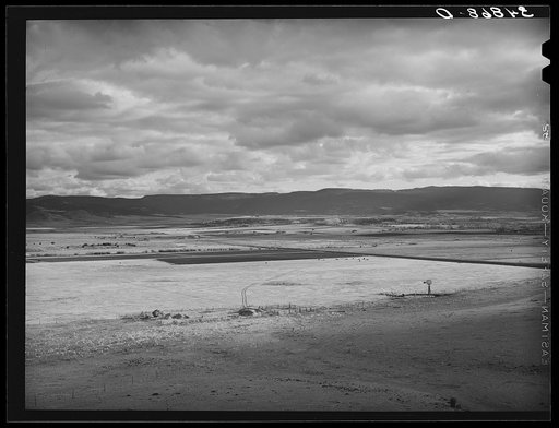 Untitled photo, possibly related to: Range in the flood irrigation lands of the Little Colorado River Valley in Apache County near Springerville, Arizona