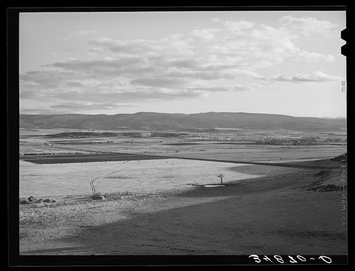 Range in the flood irrigation lands of the Little Colorado River Valley in Apache County near Springerville, Arizona