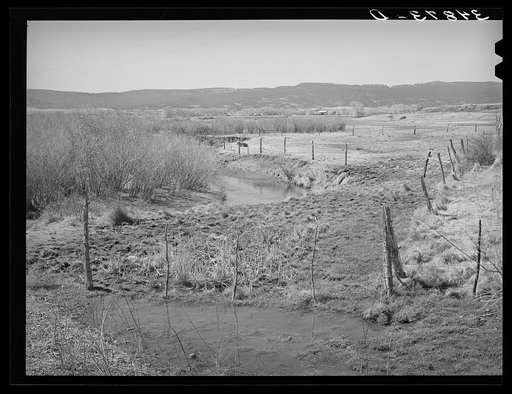 Little Colorado River, Apache County, at Springerville, Arizona