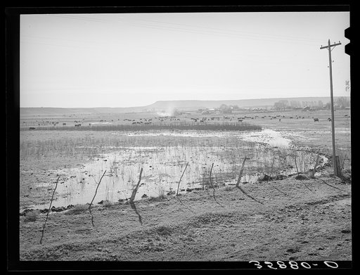 The start of flood irrigation on the hay fields in the valley of the Little Colorado River Valley. After these fields are so irrigated the cattle are driven to the mountains for summer pasturage while the hay grows and matures. Apache County near Springerville, Arizona