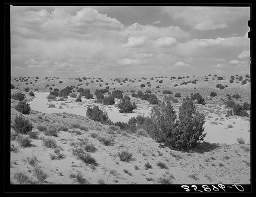 Dry wash in the desert in Sandoval County, New Mexico