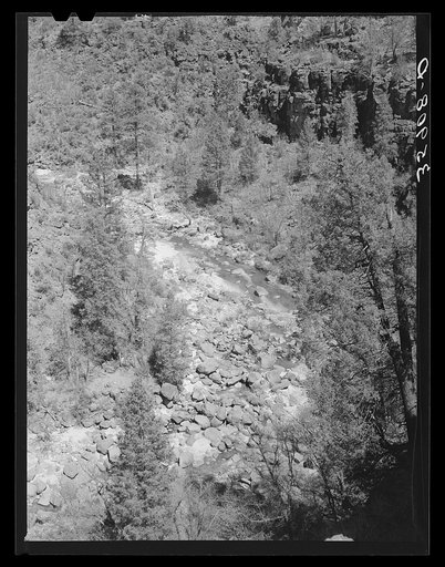 Gorge of the Carrizo Creek. Navajo County, Arizona