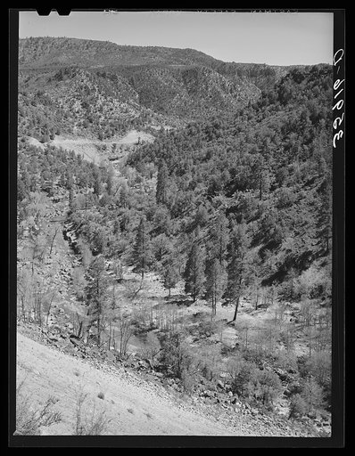 Gorge of Carrizo Creek. Navajo County, Arizona