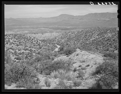 Desert scene along the Apache Trail. Gila County, Arizona