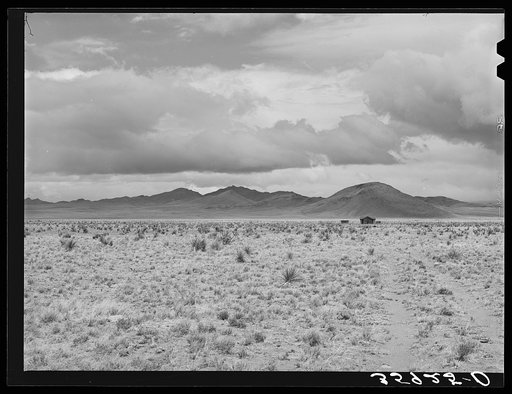 The desert on a grey day. Socorro County, New Mexico