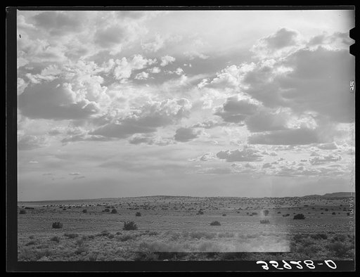 Desert scene in the late afternoon. Sandoval County, New Mexico