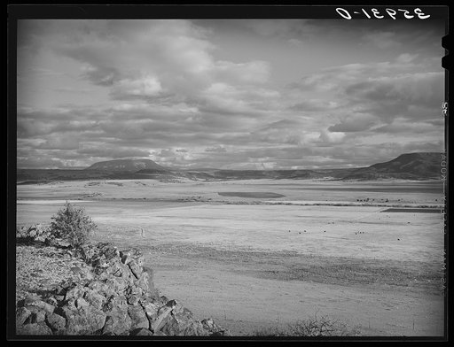 Valley floor of the Little Colorado River. Apache County near Springerville, Arizona