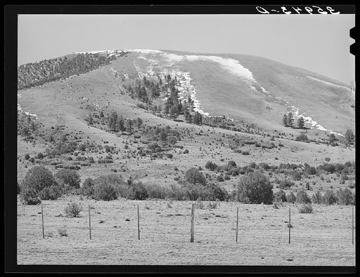 Spring snow on mountains provide water for the range below. Apache County, near Springerville, Arizona