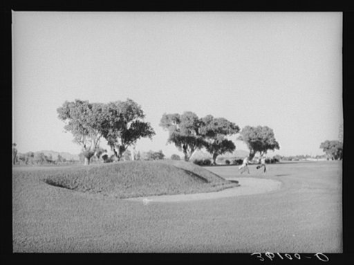 Municipal golf course. Phoenix, Arizona