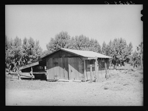 Barn on farm of tenant purchase client in Maricopa County, Arizona