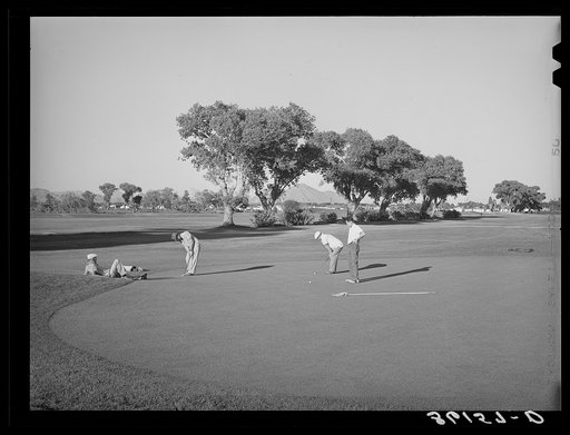 Municipal golf course. Phoenix, Arizona