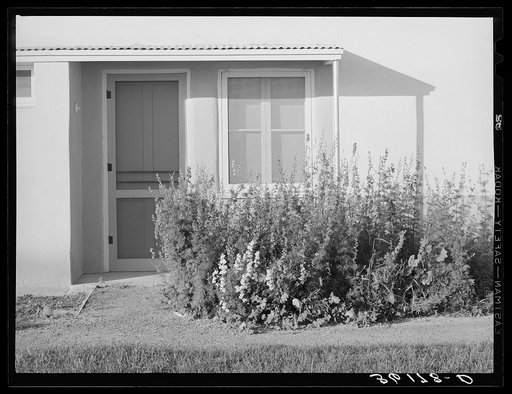Bed of flowers at entrance to an apartment at the Arizona part-time farms. Maricopa County, Arizona